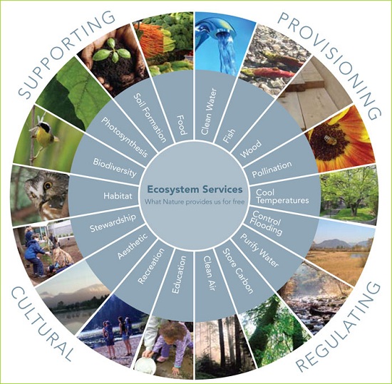 ecosystem-services-diagram